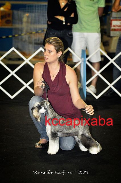 Clique sobre a foto para fechar